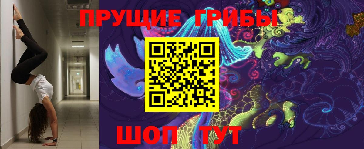 Галлюциногенные грибы Psilocybe  купить наркоту  Можайск  Вход с VPN 
