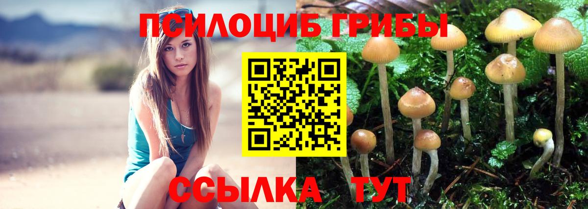 COCAIN Можайск